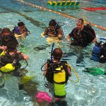 Discover Pool